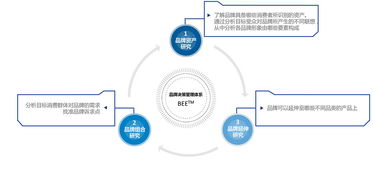 品牌管理决策支持体系的构建与优化